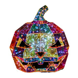 ڂ჉^ vYpvL J{` ڂ჉Cg nEB pvLCg vY I[ig u C~l[V  d halloween Xܑ 