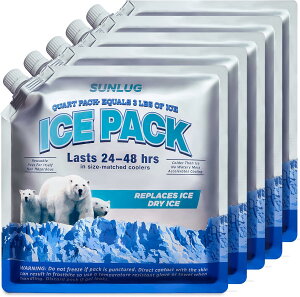 X܁y5Zbgzۗ ACXpbN ice bag 2.5Ԃœ X ۗ   JԂgp\ \tg^Cv ^Cv AEghA Lv ނ Lv  ٓ o[xL[