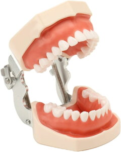  ͌^ wp ^f owf ㉺{͌^ K͌^ iK J ׂ ͎O\ł _炩s w  wZ łgp鎕 ͌^ł 