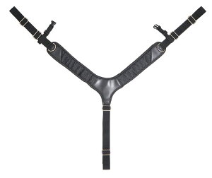 DBLTACT OR[|[V DT-DSP-1 Y^TXy_[ DTDSP1 y580021z