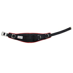 WFtR fT WP-R300DS-2BR [N|WVjOp WPR300DS2BR