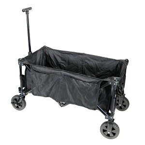 �W�F�t�R�� �f���T�� CW-110BK �L�����[���S��