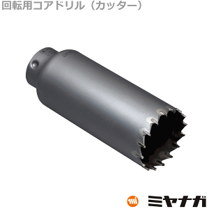 yz~iK PCHW100C RAh Jb^[ ]p |NbN 100mm