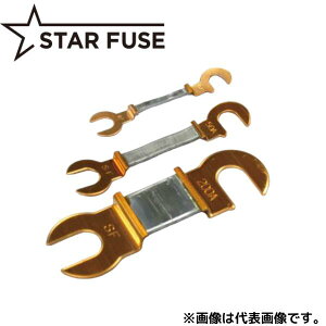 y݌ɂzX^[q[Y 8^ 300A AC250V 1 PF ߕtq[Y 300A CSF 55mm STAFUSE @