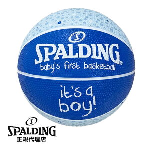 y2023AWzX|fBO@xCr[Y t@[Xg {[C u[@1 mSPALDINGn