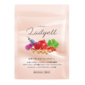 LADYELL@fBG@30@i1345mg×60jy[J[zysz-000008