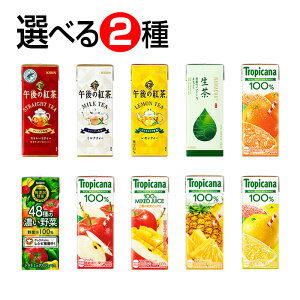 �L�����@���p�b�N�W���[�X�@�i�g�ݍ��킹�E2�P�[�X�Z�b�g�^48�{�j-000008