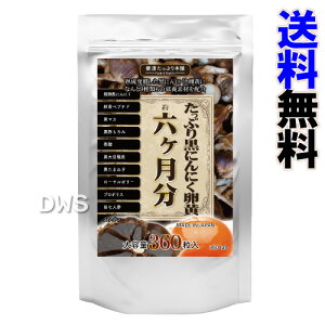 uՂ荕ɂɂ@6v@2Zbg yz-000008