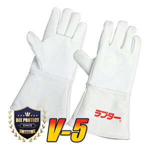 Ih܁@v^[ V-5@y₷zyn`@h앞zyIzyh앞zy쏜zyXYo`@쏜zyI@΍zyIhzyv^[@OTHERz