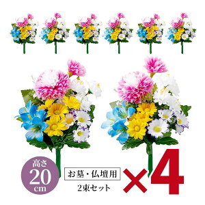 Edp  2gi20cm^Cvj×4Zbg