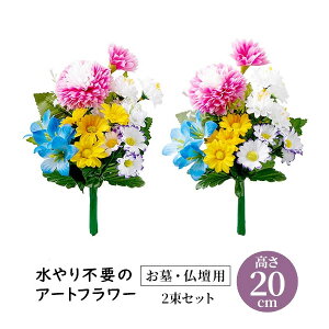Edp  2gi20cm^Cvj
