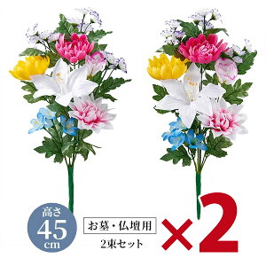 Edp  2gi45cm^Cvj×2Zbg