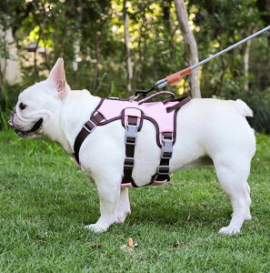 yGOODAGfڏizz n[lX ^ ^ ^ Č킢  Ȃ ɂ bN S̏Ȃ Xebvn[lX EFAn[lX U Oo ʉ@ ЊQ  