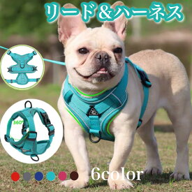 【5％OFFクーポン】犬 ハーネス リードセット 小型犬 中型犬 胴輪 抜けない かわいい 簡単着脱 衝撃吸収 調節可能 引っ張り防止 咳き込み軽減 散歩 出かけ用 安全 S M L XL 送料無料 ネコポス