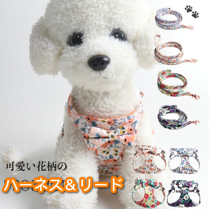 楽天市場 犬 ハーネス リードセット 小型犬 中型犬 胴輪 抜けない かわいい 簡単着脱 衝撃吸収 調節可能 引っ張り防止 咳き込み軽減 散歩 出かけ用 安全 S M 送料無料 Aiaishop