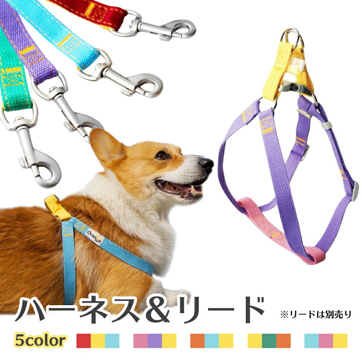 楽天市場 期間限定 Off 犬 ハーネス 胴輪 小型犬 中型犬 大型犬 負担の少ない 着脱しやすい アウトドア おしゃれ かわいい カラフル ワンタッチタイプs M 送料無料 ネコポス Aiaishop