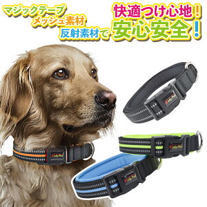 犬 迷子札 軽いの人気商品 通販 価格比較 価格 Com