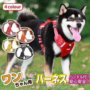 y100~OFFN[|z n[lX ^ ^ ^ Č 킢  Ȃ ɂ bN S̏Ȃ Xebvn[lX EFAn[lX p p  nht 