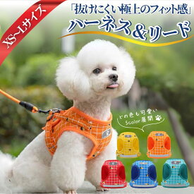 【100円OFFクーポン】犬 ハーネス 小型犬 中型犬 かわいい おしゃれ 犬用 胴輪 犬ハーネスリードセット 負担が少ない 抜けない 犬具 ダブルロック メッシュ 抜けにくい 犬具 簡単装着 イヌ ドッグ いぬ お出かけ 散歩 外出 通院 災害 避難 ペット 服 XS S M L