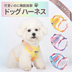 n[lX ^ Ȃ  ^ L ЊQ  bV n[lX ^   IV  킢  ꂵȂ ۔Ȃ Ȃ EȂ _炩  ؂