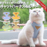 【100円OFFクーポン】猫 ハーネス 抜けない 胴輪 リード ダブルロック メッシュ猫ハーネス 猫用 ネコ キ…