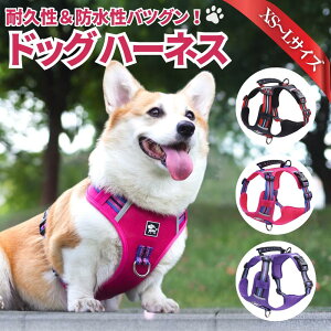 y100~OFFN[|zpn[lX ^ ^ ^ Č킢  Ȃ ɂ bN S̏Ȃ Xebvn[lX EFAn[lX U Oo ʉ@ ЊQ  p 