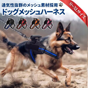 y100~OFFN[|z n[lX ^ ^p SȂ   Ȃ ɂ bN ȒP uh pO Č t`uhbO R[M S M L 