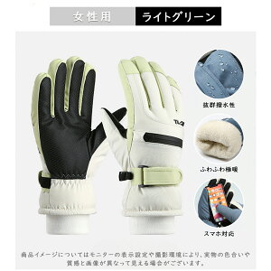 _X[p[Z[EMAX50%OFFI^ XL[O[u fB[X Y LbY ۉ ۉ ɊΉ ^b`plΉ ~p  ] oCN oR AEghA }zΉ  Sh h h