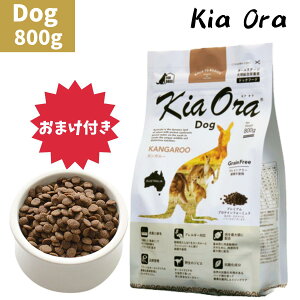 ܂ LAI hbO JK[ 800g 1܃Zbg  p pi  hbOt[h ybgt[h hCt[h   Sp h{H SN Y sgp OCt[