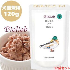 rII[u sA _bN 120g 12܃Zbg p hbO Lp Lbg Ki  EFbgt[h hbOt[h gbsO gg Lbgt[h ybgt[h q[}O[h 