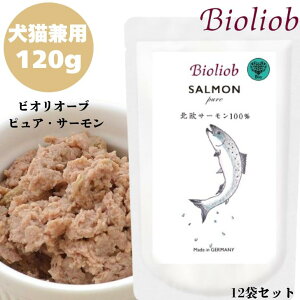 Bioliob rII[u sAET[ 120g 12܃Zbg p Lp hbN Lbg Ki  ͂ EFbgt[h gbsO Lbgt[h ybgt[h hbOt[h ggt[