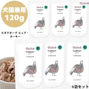 rII[u sAE^[L[ 120g 6܃Zbg p Lp Lbg hbO Ki  EFbgt[h gbsO Lbgt[h ybgt[h hbOt[h q[}O[h  