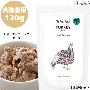 rII[u sAE^[L[ 120g 12܃Zbg p Lp Lbg hbO Ki  EFbgt[h gbsO Lbgt[h ybgt[h hbOt[h q[}O[h  