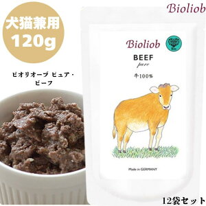 rII[u sAEr[t 120g 12 p hbO Lp Lbg Ki  EFbgt[h hbOt[h gbsO gg Lbgt[h ybgt[h q[}O[h 