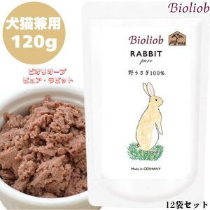 rII[u sA rbg 120g 12܃Zbg p Lp Ki  ͂ EFbgt[h gbsO Lbgt[h ybgt[h hbOt[h q[}O[h  Y h{