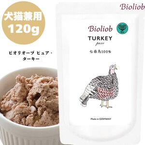 rII[u sA ^[L[ 120g 1܃Zbg  p L Lp Lbg hbO Ki  EFbgt[h gbsO Lbgt[h ybgt[h hbOt[h q[}O[h 