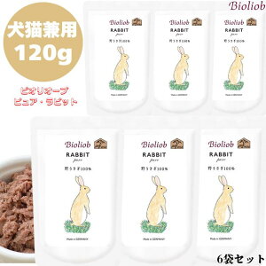 rII[u sA rbg 120g 6܃Zbg  p Lp L Ki  ͂ EFbgt[h gbsO Lbgt[h ybgt[h hbOt[h q[}O[h  ۑ 