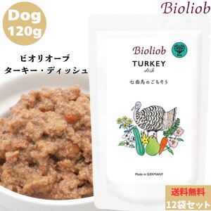 rII[u ^[L[ fBbV 120g 12܃Zbg p hbO   Ki  ͂ EFbgt[h gbsO ybgt[h hbOt[h ۑ  Y h{oX q