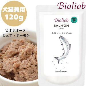 Bioliob rII[u sA T[ 120g 1܃Zbg  p L Lp hbO Lbg Ki  ͂ EFbgt[h gbsO Lbgt[h ybgt[h hbOt[h gg