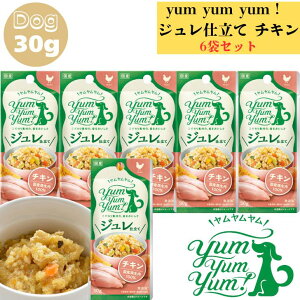  W d `L 30g 6܃Zbg  p hbO hbOt[h ybgt[h EFbgt[h ͂ gbsO Y ۑ F  ؕsgp { 炩 Y