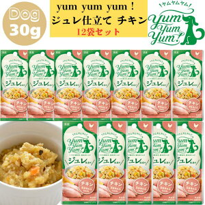  W d `L 30g 12܃Zbg  p hbO hbOt[h ybgt[h EFbgt[h ͂ gbsO Y ۑ F  ؕsgp { 炩 