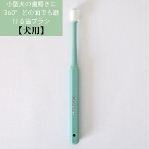 fg[i[360 p hbO ^  360°ǂ̖ʂł  uV uV ɍז 炩 ꂢ ₳ SuV ₷ ̃PA f^PA C   