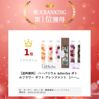 【送料無料】ハーバリウム&Herbaボトルフラワーギフトアレンジメント【ハーバリウムウッドスリーブM】プレゼント花フラワーボックスのようなフラワーボトル