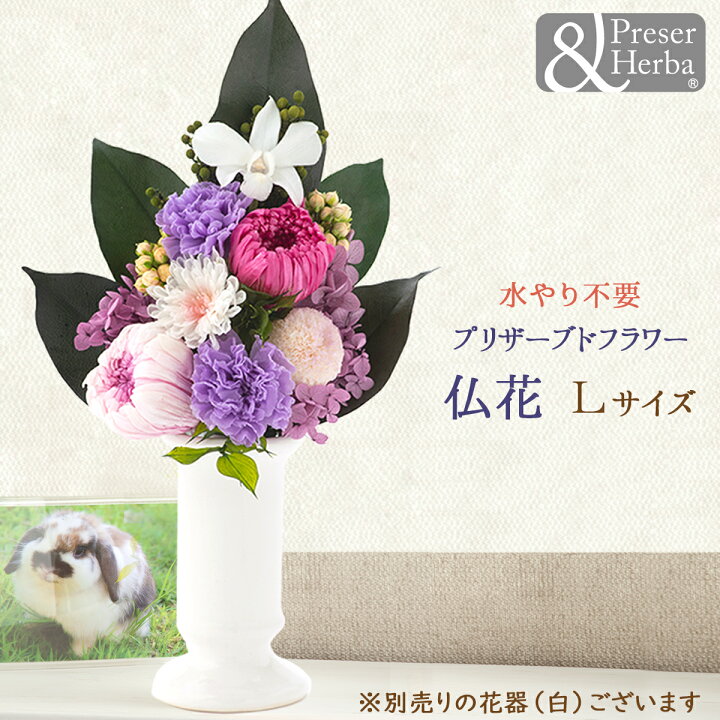 楽天市場 プリザーブドフラワー 仏花 お供え 仏壇用 お彼岸 お悔やみ お盆 初盆 花 フラワー アレンジ 蓮華 れんか プリザーブドフラワー 仏花 L 大サイズ メインカラーは白 ホワイト ピンク 紫 パープル 送料無料 沖縄除く Smileまーけっと