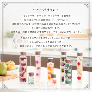 【ハーバ】VCマスク3+ハーバリウムL四角