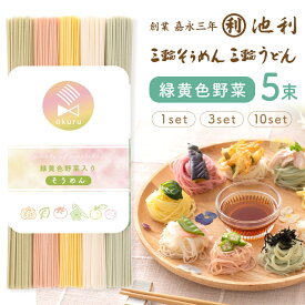 そうめん うどん 三輪そうめん うどん緑黄色野菜入り 手延べ素麺 50g*5束セット 50g*5束3セット 50g*5束10セットのどごしお野菜 七夕 無料ラッピング対象外 トマト かぼちゃ オクラ シソ メール便送料無料