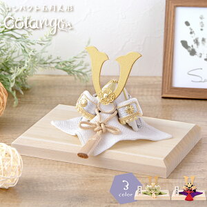 �y�V��z�܌��l�` �R���p�N�g ������� �~�j �� ������ 2026�N ���늕 ���P�� ���Ċ� �ؐ��� �C���e���A ���킢�� �[�߂̐ߋ� ���ߋ� �q���̓� �~�j �T�C�Y ���蕨 �M�t�g �l�C ���r���[���e 