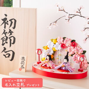 y!! 5OFF11/17 ߂܂Łzl` RpNg _  킢 l ~j TCY ЂȐl` ˔Zbg  ߂ ՂĂԕ l Ђȗl sV 