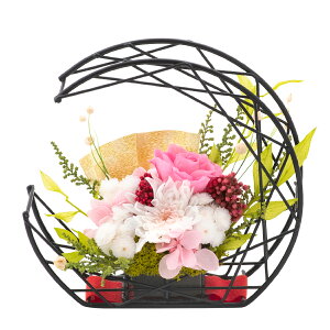 y5OFF!! 11/6 ߂܂ŁzËHj  v[g vU[uht[ e c  Ďj Pj j j a j LO D Zbg Mtg o  ސEj