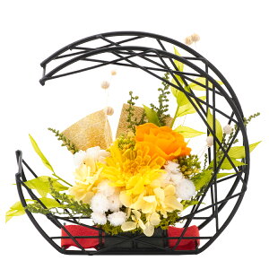 y5OFF!! 11/27 ߂܂ŁzËHj  v[g vU[uht[ e c  Ďj Pj j j a j LO D Zbg Mtg o  ސEj